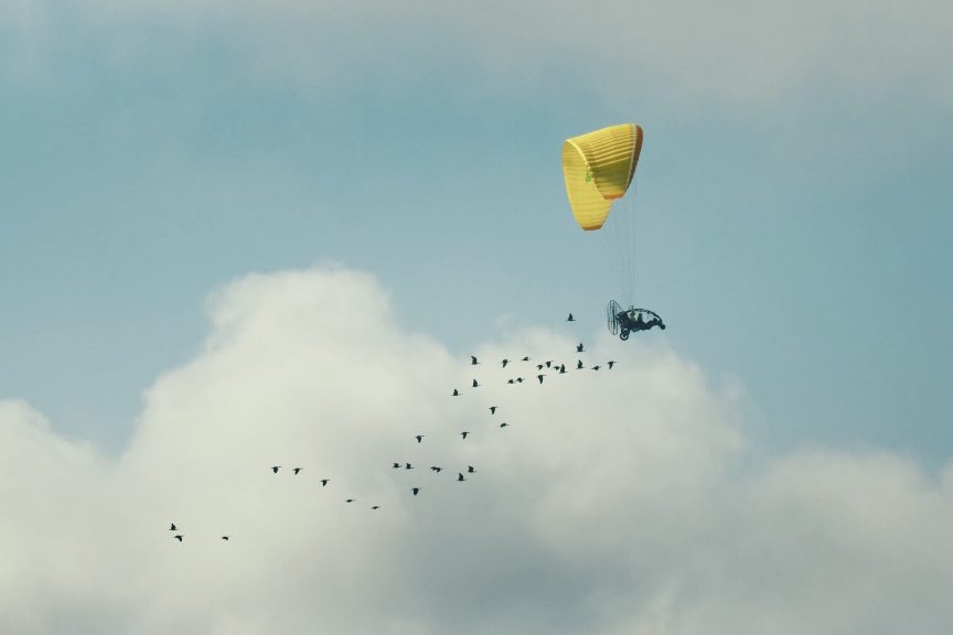Behind the Scenes of “Flying High”: A Conversation with Producer Stephen Ives